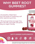 Sugar Free Nitric Oxide Beet Root Gummies (1500 mg)- Beet Root Chewables for Athletic Performance, Nitric Oxide Booster, Energy, Blood Flow and Circulation - 90 Beets Root Gummy Chews.