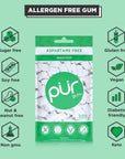 PUR Gum | Aspartame Free Chewing Gum | 100% Xylitol | Sugar Free, Vegan, Gluten Free & Keto Friendly | Natural Spearmint Flavored Gum, 55 Pieces (Pack of 1)