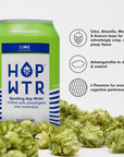 HOP WTR  Sparkling Hop Water  Lime  12 Pack  NA Beer No Calories or Sugar Low Carb With Adaptogens and Nootropics for Added Benefits 12 oz Cans