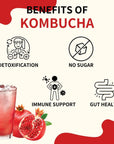 Garden Kombucha Tea, Powder 5g x 20 Sachets (100g/3.52oz) Probiotics