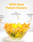 BLUE TEA  PALASH FLOWER TEA  140 Oz Pack of 2  ANTIOXIDANT RICH  Prime Saving Days  Flame of the Forest Tea  Flower Based  Herbal Tea  Caffeine Free  Natural Ingredients  Pet Jar Packaging