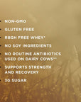 Solgar Grass Fed Whey to Go Protein Powder Chocolate, 2.3 lb - 20g of Grass-Fed Protein from New Zealand cows - Great Tasting & Mixes Easily - Supports Strength & Recovery - Non-GMO, 36 servings