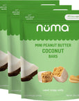 Numa Foods Mini Coconut Peanut Butter Bars - Vegan, Low Sugar, High Protein, All Natural, Gluten Free - Crunchy Plant Based Peanut Butter Snacks - 3 Bags with 8 Individually Wrapped Coconut Protein Bars