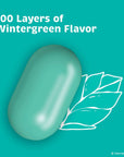 Tic Tac Wintergreen Breath Mints Bulk 12 Pack OnTheGo Refreshment 17 oz Each