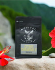 Revival Tea Company Citrus Chamomile Tea  Herbal Tea Blend of Chamomile Flowers and Orange Peel  Caffeine Free  24 Tea Bags