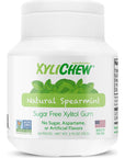 Xylichew 100 Xylitol Chewing Gum  Non GMO Non Aspartame Gluten Free and Sugar Free Gum  Natural Oral Care Relieves Bad Breath and Dry Mouth  Spearmint 60 Count