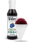 Wäbry Blueberry Syrup  149oz 420g Natural Fruit Flavor Organic Snow Cone Syrup for Drizzling on Shaved Ice Waffles Ice Cream  Lattes NonGMO DyeFree Vegan Syrups 12 Servings Per Bottle