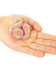 Bulk Sour Patch Kids Watermelon Candy  5lb Bulk Watermelon Sour Patch Kids  Bulk Gummy Candy  Sourpatch Watermelon Sour Gummies  Sour Patch Watermelon Candy Bulk Bag 5 pounds