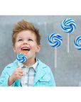 Fruidles Swirls Lollipop Candy Mixed Fruit Flavor Individually Wrapped Blue Swirl 12Pack