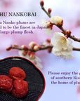 Mayca Moon Umeboshi by KISHU NANKO UME Japanese Pickled Plums Red Large grain 1058oz 300g