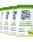 H2wOw Water Enhancer Drops  ORGANIC  Natural Extracts of Real Fruit  a Hint of Organic Stevia  Makes 768 oz of Delicious Cucumber Lemongrass Flavored Water