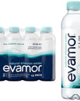 evamor Artesian Bottled Water  Single Source Naturally Alkaline and Full of Electrolytes Refreshing and Smooth Tasting Water for Hydration and Health 20 Fl Oz Bottles Pack of 12