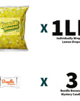 Sugar FREE Lemon Drops Hard Candy  1LB  KETO Friendly Individually Wrapped WBundle Bonanza Candy