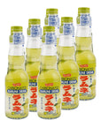 Shirakiku Ramune Drink Carbonated Marble Soft Drink of Japan 676 oz Yuzu Pack of 6