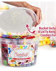 Bulk Candy Variety Pack  Bulk Candy Care Package  Assorted Candy Box  Candy Basket Candy Office Candy Assortment  Gift Box for Birthday Party Kids College Students  Adults 2 Pound