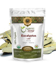 Organic Way Eucalyptus Leaf Whole Eucalyptus globulus  Herbal Tea  European WildHarvest  Kosher  USDA Certified  Vegan NonGMO  Gluten Free  100 Raw from Albania 1LBS  16Oz