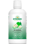 Dynamic Health Graviola Blend Mangosteen Nopal and Aloe 100 Organic No Additives Immune System Support Antioxidant Vegan Gluten Free NonGMO 32 Fl oz