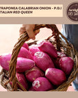 Red Tropea Calabrian Onions PGI63 oz Italian Sweet and Sour Red Onion Artigiani dei Sapori Product of Italy