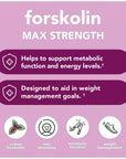 Vitamin Bounty Forskolin Max Strength - Forskolin Extract, Forskolin Supplement, Forskohlii Coleus Supplement, Coleus Forskohlii Extract, Plant Based, Non GMO - 60 Capsules