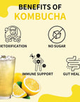 Garden Kombucha Tea Powder 5g x 20 Sachets 100g352oz Probiotics Prebiotics Sugar Free Balck Tea Healthy Drink with Bottle FREE BOTTLE SHAKER Lemon