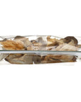 Terra Dolce Organic Oyster Mushrooms 075 Ounce