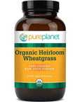 PURE PLANET Heirloom Wheatgrass Powder Organic 90 Gram