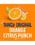 SunnyD Tangy Original Orange Flavored Citrus Punch 675 Fl oz 24 pack by Qualitatt