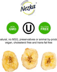 Nezka Lightly Salted Plantain Chips  Delicious Crunchy Snacks and Side Dish  Gluten Free Vegan NonGMO  28 Oz