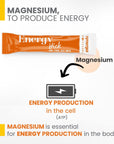 Synergia Energy Box - Magnesium and Vitamin B Complex for Natural Caffeine Free Energy with Arginine and Taurine - On The Go Powder Supplements for Men and Women