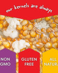 All In One Popcorn Packs  Wabash Valley Farms All Inclusive Popping Kits Real Theater Popcorn Kits PrePortioned Popcorn Machine Popcorn Packets All In One Popcorn Kernels 55 oz  10 Pack