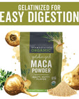 Viva Naturals Organic Maca Powder  Gelatinized Maca Powder Organic Vegan and Kosher Peruvian Superfood  Certified USDA Organic GlutenFree  NonGMO 8 oz Resealable Bag