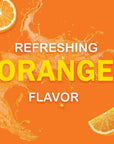 Tang Orange Powdered Drink Mix 20 Ounce  Pack of 2 40 oz in total