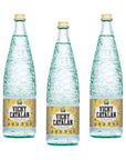 SNACKTIX  Vichy Catalan  Sparkling Mineral Water in Glass Bottles  338 oz 1 Liter Pack of 3