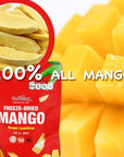 ONETANG FreezeDried Fruit Mango Chips 10 Pack SingleServe Pack Non GMO Kosher No Add Sugar Gluten free Vegan Holiday Gifts Healthy Snack 035 Ounce