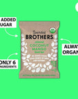 Bearded Brothers Organic Vegan Energy Bars - Gluten & Soy Free, Paleo, Whole 30 | Non GMO, Low Glycemic, High Protein, Fiber | 12pk Coconut Mango