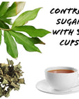 Dried Insulin Plant Leaves 176 oz 50g Natural Costus Igneus Organic Herbal Tea For Sugarfree and Controls Sugar with 50 Cups  Lanka Flavors Feel Different