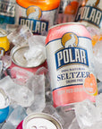 Polar Seltzer Water 12 Flavor Assorted 12 fl oz cans 12 pack  By LastFuel