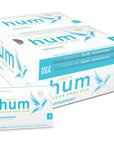 Stevita Hum Peppermint  SugarFree Gum  12 Pieces Pack of 12  Supports Oral Health  NonGMO Vegetarian Keto Gluten Free Package may vary