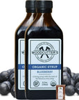 Woodcutters Bitters Blueberry Beverage Syrup USDA Organic A Living Syrup With The Taste of The Forest In Every Drop 85 oz Pack of 2  IncludesFree Cinnamon from Rhino Fine Foods071oz