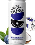 Once Upon a Coconut Blueberry Coconut Water  100 Pure No Sugar Added  LowCalorie AllNatural Drink with Electrolytes  NonGMO GlutenFree  Pack of 12 Cans each 108 fl oz