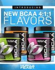 Muscle Feast Vegan BCAA Powder 4:1:1 Ratio Keto Friendly Sugar 300g