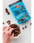 Diamond of California Salted Dark Chocolate Snack Walnuts 4 oz 4 Pack