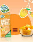 Heaven & Earth Organic Mango Fruit Patches, 3oz (2 Boxes of 6 Packets) | All Natural Fruit Snack, Real Fruit, Healthy Snack Pack, Fiber Packed, Gluten Free & Vegan