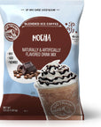 Big Train Mocha Blended Ice Coffee Beverage Mix 35 Pound Pack of 1