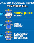 Capri Sun 100 Juice Naturally Flavored 100 Apple Juice 6 Fl Oz Pack of 10 Packaging May Vary