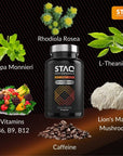 STAQ Performance Premium Brain Supplement for Focus, Energy, Memory 90 Veg. Capsules - No Fillers & Harmful Ingredients Peak Performance - Recommended by Professionals, Students, Doctors & Active 60+