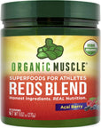 Organic Muscle Super Reds Powder - Organic Greens and Reds Superfood Powder with Organic Acai Berry, Pomegranate & Cranberry for Natural Energy & Metabolism Boost - Vegan & Non-GMO, 30 Servings