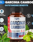 agobi 3in1 Garcinia Cambogia Extract Capsules - 11200mg Herbal Supplement for Body Health & Immune Support - Blended with Organic Green Tea & White Kidney Bean - 120 Vegan Capsules - 2 Month Supply