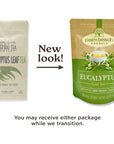 Eucalyptus Leaf Tea  Pure Herbal Tea Series by Palm Beach Herbal Tea Company 30 Tea Bags 100 Natural