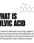 blk Natural Alkaline Mineral Water Electrolyte Infused with Fulvic and Amino Acids Zero Sugar Drink Lemonade Flavored 169 Ounce 500 mL Pack of 12